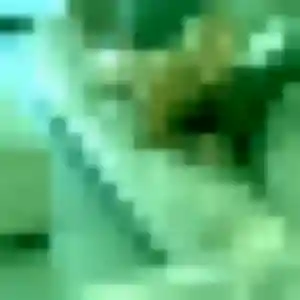 Profil de Amel à Bois-le-Roi (36 ans) - plan cul discret