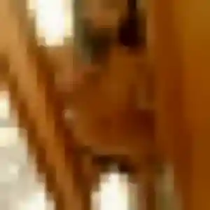 Khadija, 27 ans, disponible à Boisset-et-Gaujac pour une rencontre coquine