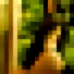 Photo privée de Zelda, 31 ans à Boistrudan - plan discret