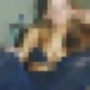 Marie-Christine (31 ans) à Bonnefamille cherche une rencontre rapidement