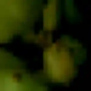 Photo privée de Honorine, 45 ans à Bort-l'Étang - rencontre coquine