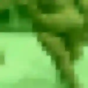 Photo privée de Emmanuelle, 40 ans à Boulogne-sur-Gesse - rencontre coquine