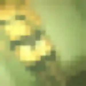 Photo privée de Angelique, 43 ans à Bouvigny-Boyeffles - plan discret