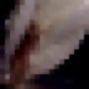 Sexy Rosalie, 36 ans à Bouville - voir sa photo