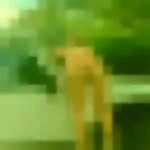 Amira de Branges, 38 ans - plan cul discret