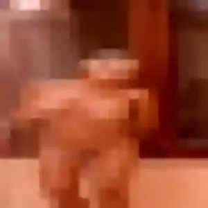 Photo exclusive de Vanessa, 40 ans à Breuil-Magné - rencontre sans lendemain