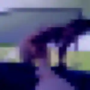 plan cul à Bricqueville-sur-Mer : photo de Olivia, 42 ans - accès libre