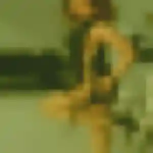 Delia, 38 ans, dispo pour plan cul à Bucquoy