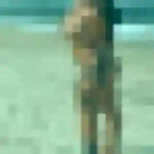 Iseult, 39 ans, dispo pour plan cul à Bures-sur-Yvette