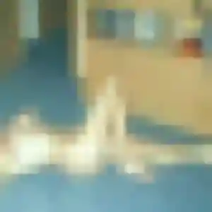 Rejoins Touria, 43 ans à Cagny gratuitement