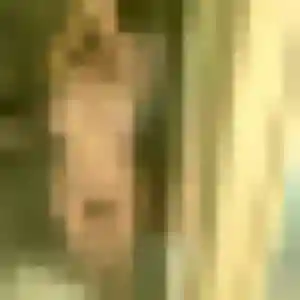 Charmante Zephyrine, 34 ans à Cailloux-sur-Fontaines - la contacter