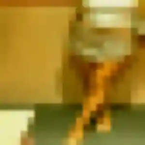Flavia, femme de 29 ans veut plan cul à Cambronne-lès-Clermont