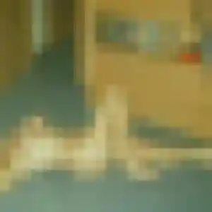 Marion, 31 ans, dispo pour plan cul à Campagne-sur-Aude