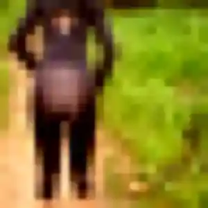 plan cul à Candas : photo de Regine, 22 ans - sans engagement