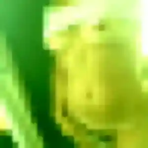 Photo de Camille à Captieux (42 ans) - plan cul gratuit