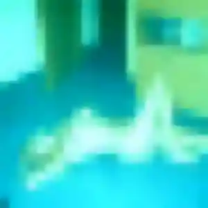 Christelle, 36 ans, connectée à Casson pour une rencontre coquine