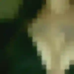 Luna (30 ans) à Castelnau-de-Montmiral cherche un plan cul maintenant