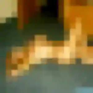 Domitille, 41 ans, disponible à Caumont-sur-Durance pour une rencontre coquine