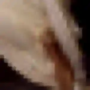 Photo sexy de Christelle, 36 ans à Caurel - rencontre sans lendemain