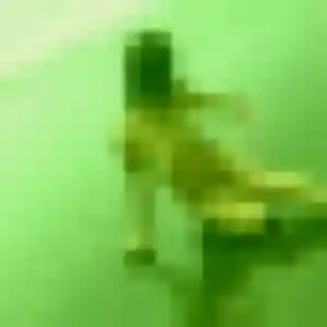 Ivana, 39 ans, disponible à Ceaucé pour une rencontre coquine