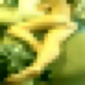 Morgane, 30 ans, dispo pour plan cul à Celles-sur-Belle
