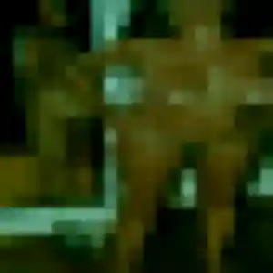 Profil de Alice à Cercy-la-Tour (28 ans) - plan cul anonyme
