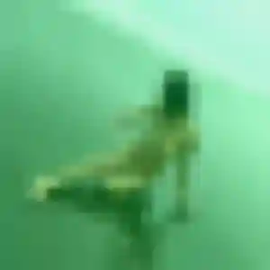 Rym, 42 ans, disponible à Cerdon pour un plan cul