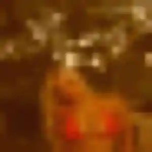 Photo exclusive de Helena, 24 ans à Céreste-en-Luberon - rencontre sans lendemain