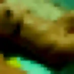Contacte Lilou, 36 ans à Cerisy-Belle-Étoile gratuitement