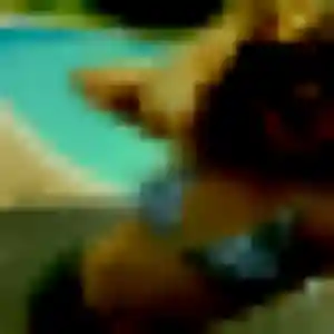Monique, 44 ans, connectée à Chaillevette pour une rencontre coquine