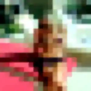 Profil de Alice à Chailly-en-Brie (42 ans) - plan cul gratuit