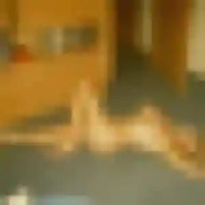 Belle Caroline, 38 ans à Chalifert - voir sa photo