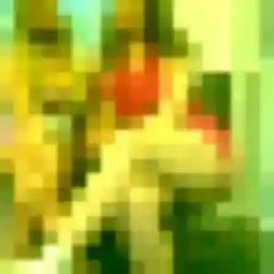 Photo de Estee à Challex (31 ans) - plan cul anonyme