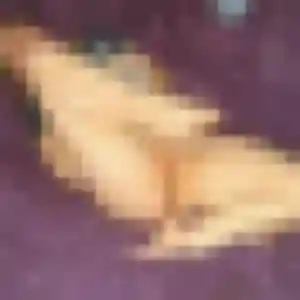 Gilberte, femme de 22 ans cherche plan cul à Chambœuf