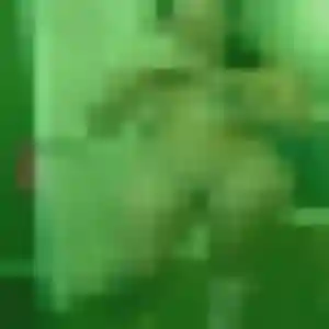 Christine (31 ans) à Chambry cherche un plan cul maintenant