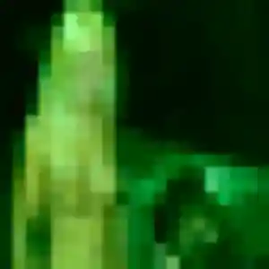 plan cul à Champagnac-de-Belair : photo de Nolwenn, 29 ans - sans engagement