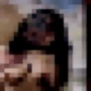 Photo de Wahiba à Champigny en Rochereau (30 ans) - plan cul discret