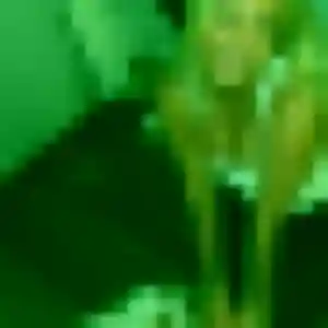 Photo de Clarisse à Champis (42 ans) - plan cul gratuit