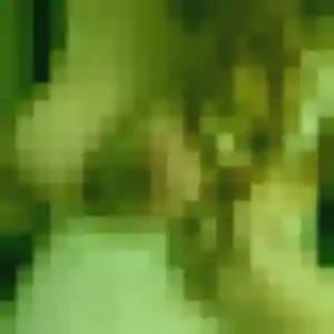 Photo de Audrey à Champlay (37 ans) - plan cul sans inscription