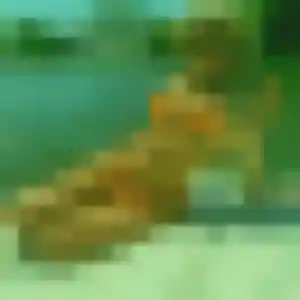 Photo sexy de Yasmine, 43 ans à Chancelade - rencontre coquine