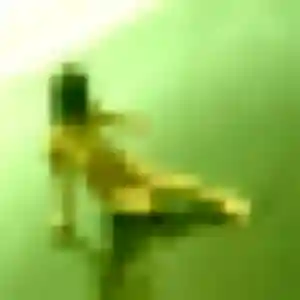 Erika (43 ans) à Chanteloup-les-Vignes cherche un plan cul ce soir