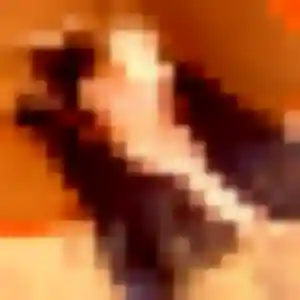Ariane, 34 ans, connectée à Chantérac pour une rencontre coquine