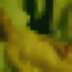 Sexy Mylene, 42 ans à Charbonnières-les-Varennes - voir sa photo