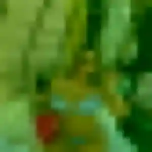 Photo sexy de Maya, 44 ans à Charmes - plan discret