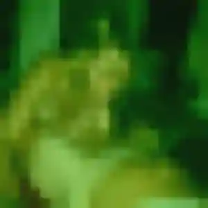 Photo de Gaia à Chartainvilliers (23 ans) - plan cul anonyme