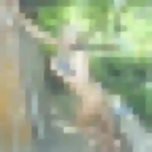 Idalina, 29 ans, cherche un plan cul à Chassieu