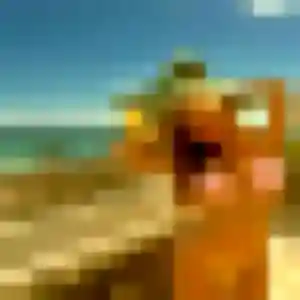 Photo perso de Priscilla, 27 ans à Châteaudouble - rencontre sans lendemain