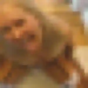 Anne-Charlotte, fille de 44 ans veut plan cul à Châteauneuf-du-Pape