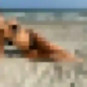 Belle Aisha, 25 ans à Châteauneuf-sur-Charente - la contacter