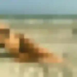 plan cul à Châteauneuf-sur-Cher : profil de Elodie, 26 ans - inscription gratuite